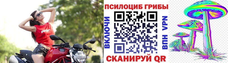 где купить наркоту  гидра зеркало  Галлюциногенные грибы мицелий  Клин 