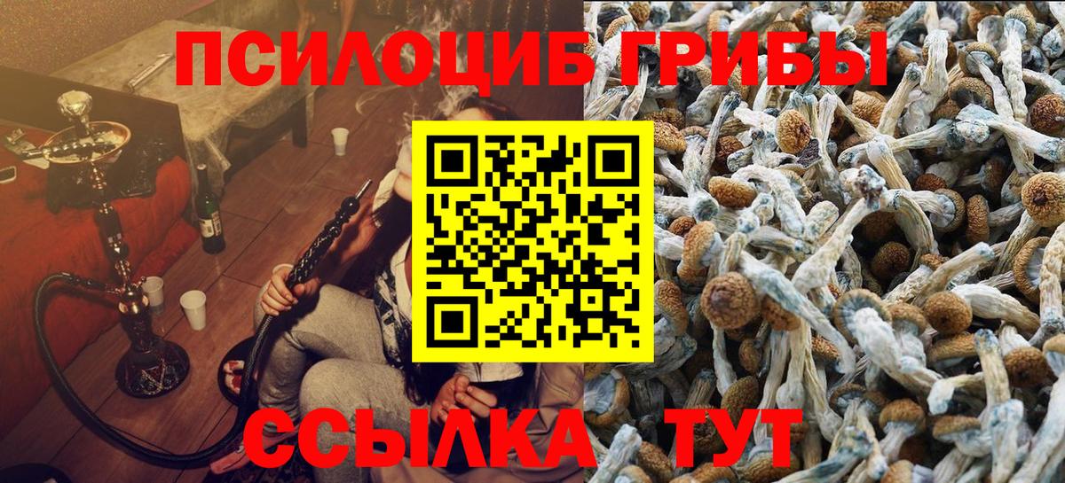 Галлюциногенные грибы Psilocybe Клин