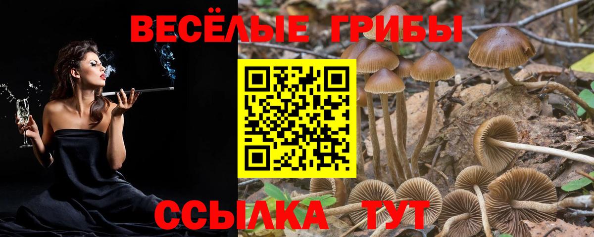 Галлюциногенные грибы прущие грибы Клин