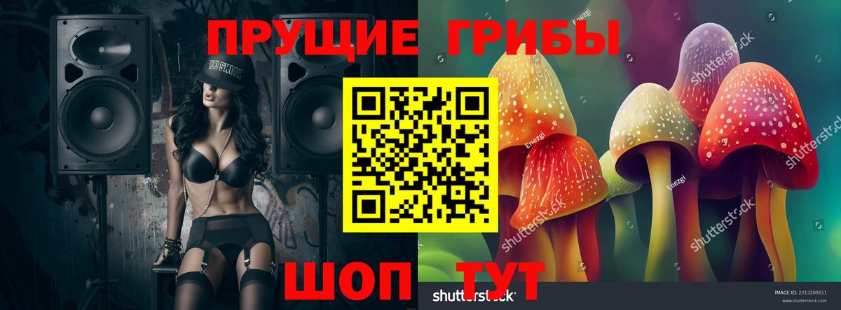 Галлюциногенные грибы Psilocybine cubensis  Клин  Галлюциногенные грибы мицелий 